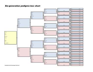 6 Generation Family Tree Template Free