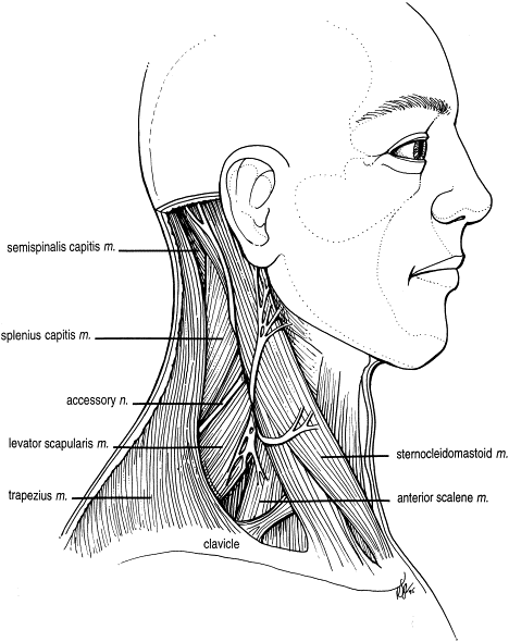 Accessory Nerve Injury Symptoms