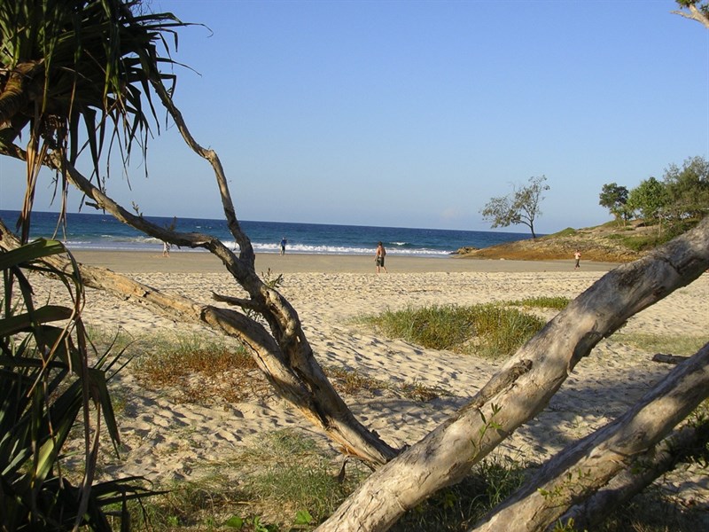 Adder Rock Camping Ground East Coast Road Point Lookout Queensland