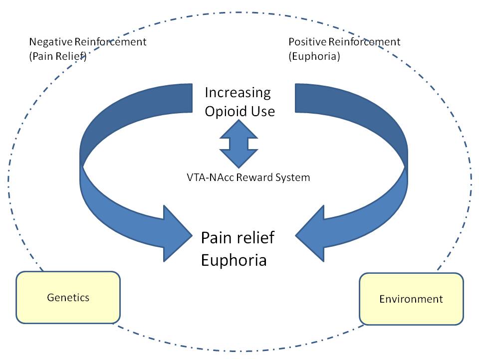 Addiction Cycle Diagram