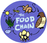 Animal Food Chains For Kids