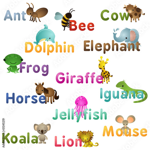Animals Images And Names