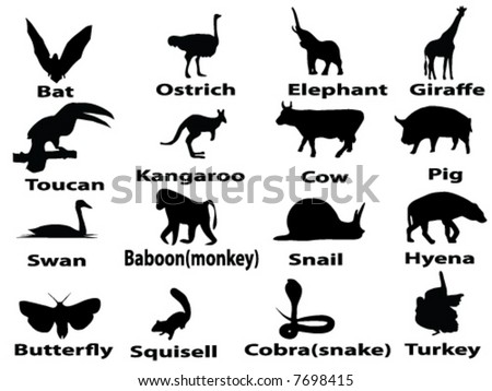 Animals Images And Names