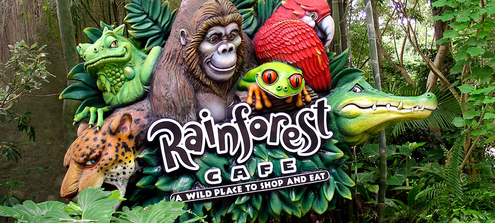Animals In The Rainforest Pictures