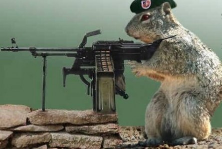 Animals With Guns