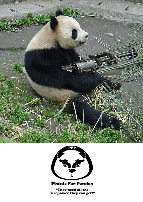 Animals With Guns