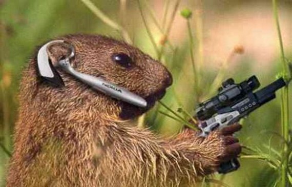 Animals With Guns Funny