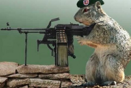 Animals With Guns Funny