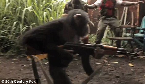 Animals With Guns Shooting