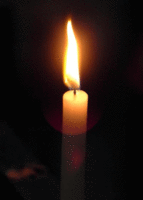 Animated Candles Burning