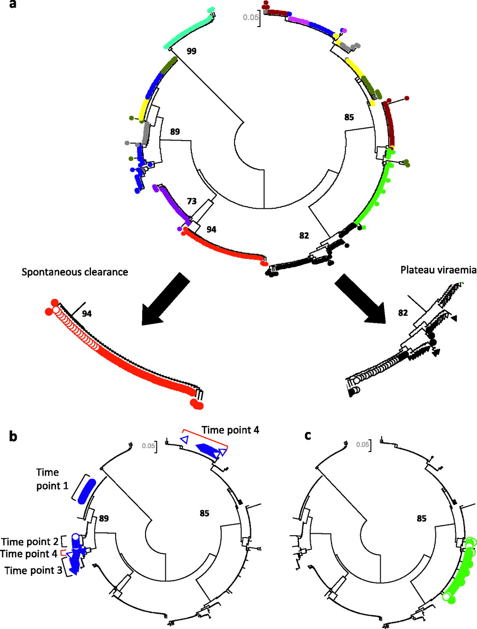 Appendix Location In Women