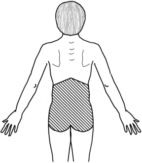 Appendix Pain Symptoms In Adults