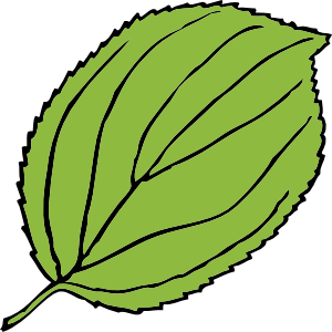 Apple Tree Leaf Template