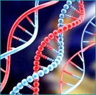 Applications Of Biotechnology In Medicine