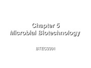 Applications Of Biotechnology Ppt