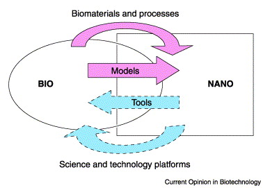 Applications Of Nanotechnology In Medicine Ppt