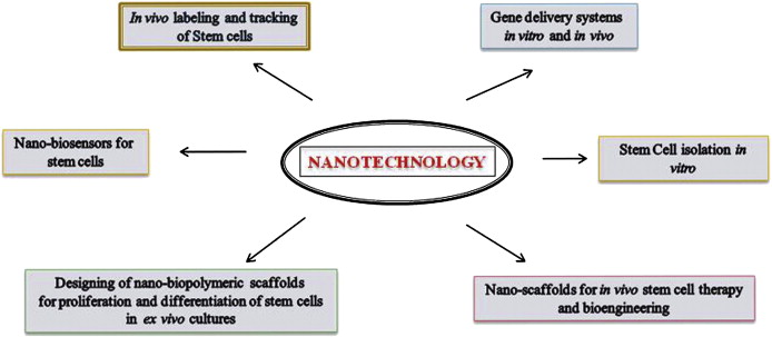 Applications Of Nanotechnology In Medicine Ppt