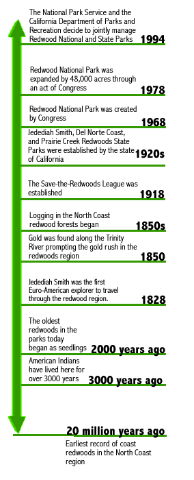 Art History Timeline For Kids