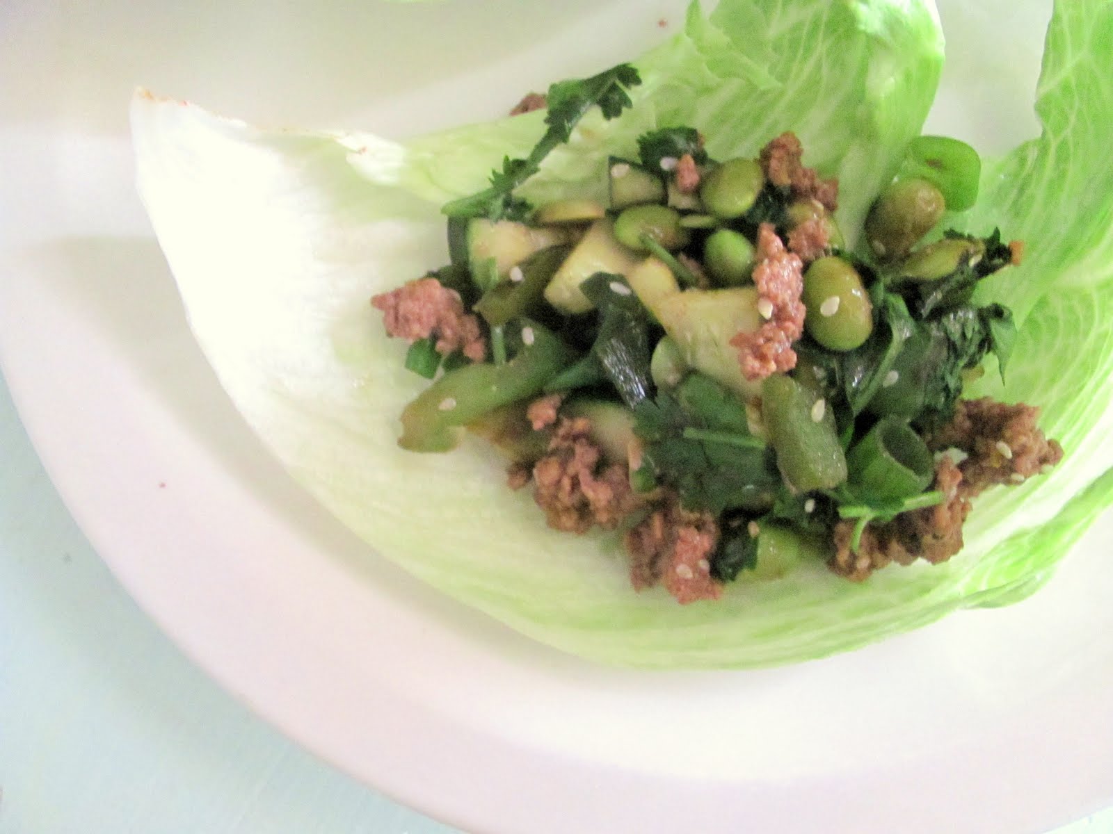 Asian Lettuce Wraps Pf Changs