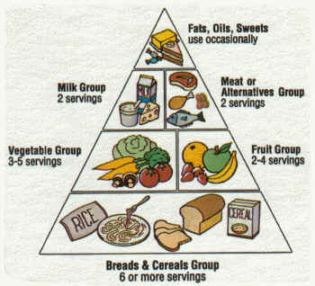 Australian Healthy Eating Pyramid