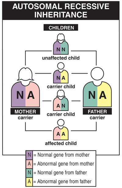 Autosomal Dominant Disorders