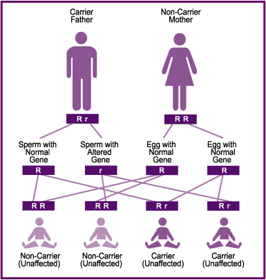 Autosomal Dominant Disorders