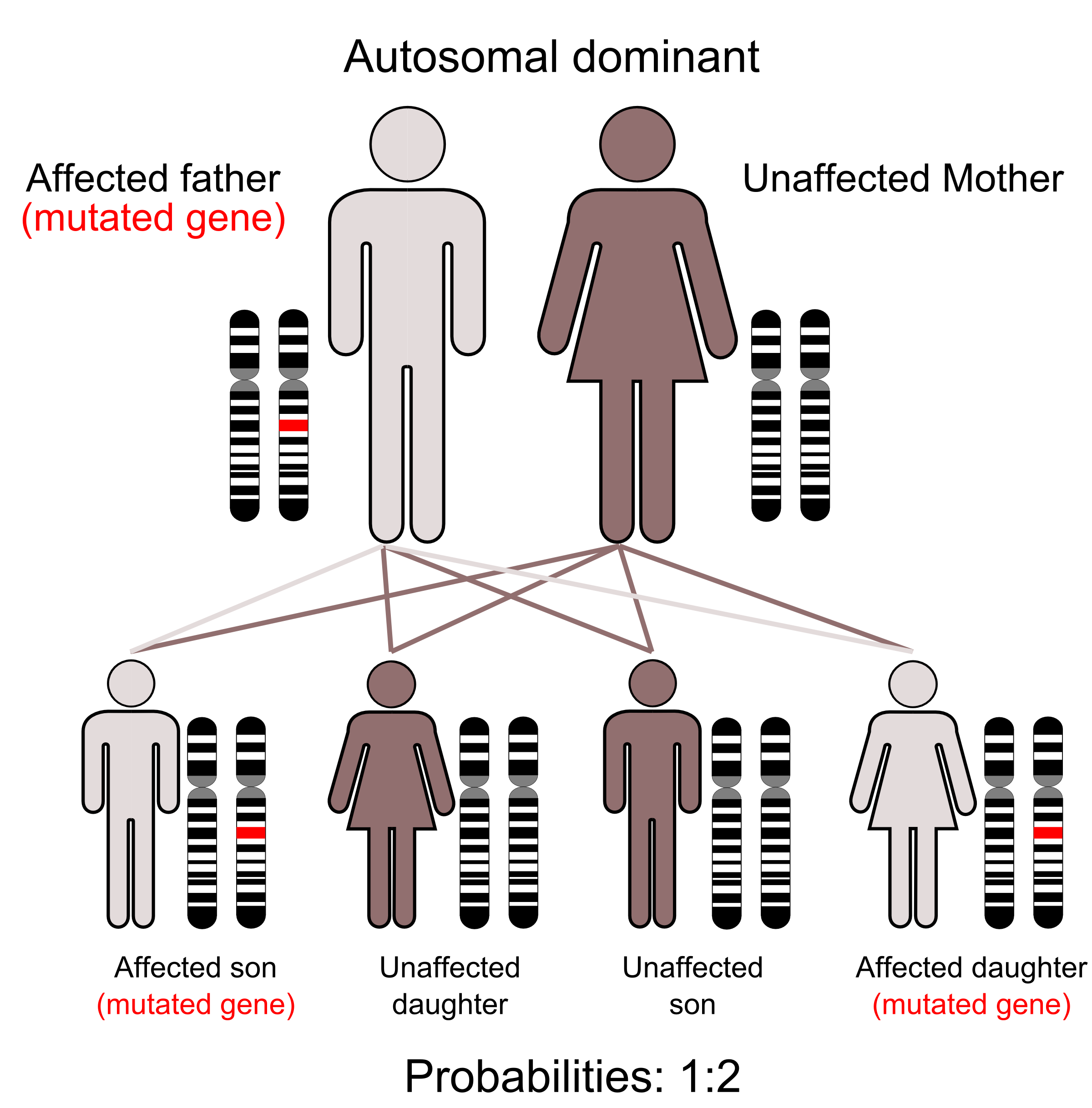 Autosomal Dominant Inheritance