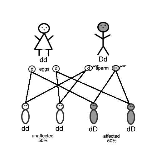 Autosomal Dominant Inheritance