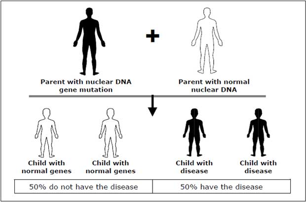 Autosomal Dominant Inheritance