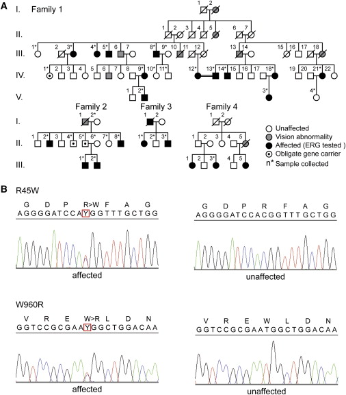 Autosomal Dominant Inheritance Is Shown By All But Which Of The Following