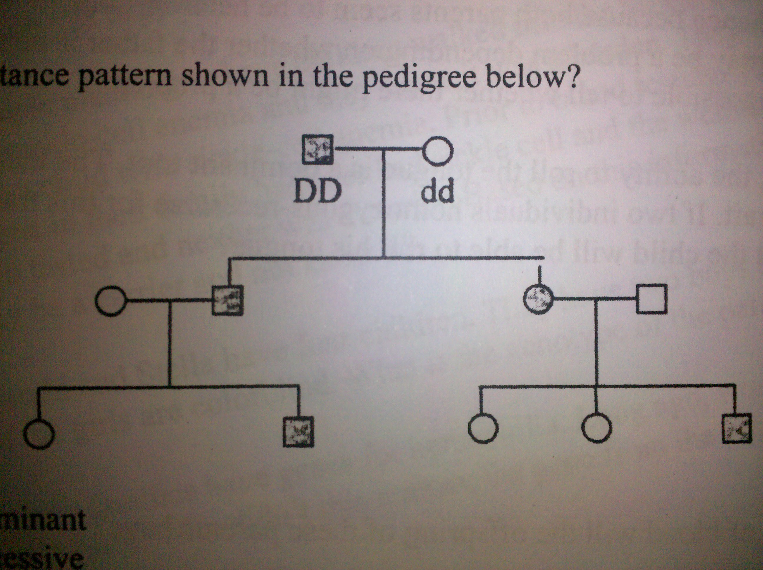 Autosomal Dominant Inheritance Is Shown By All But Which Of The Following