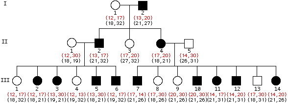 Autosomal Dominant Inheritance Is Shown By All But Which Of The Following
