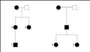 Autosomal Dominant Inheritance Is Shown By All But Which Of The Following