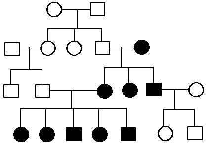 Autosomal Dominant Trait Pedigree