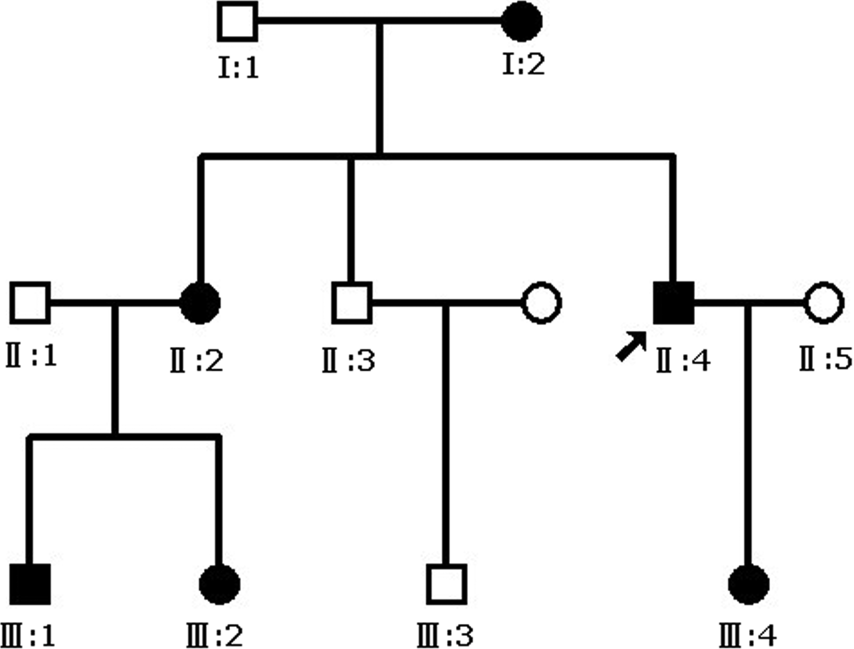 Autosomal Dominant Trait Pedigree