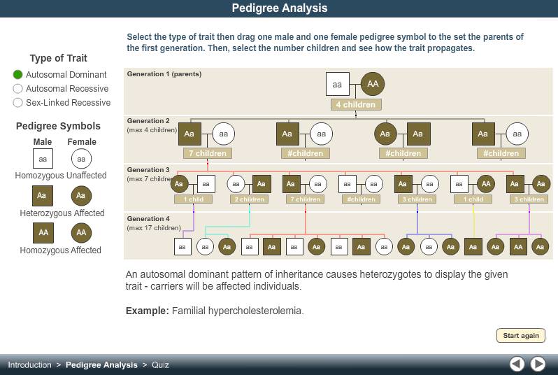 Autosomal Dominant Trait Pedigree