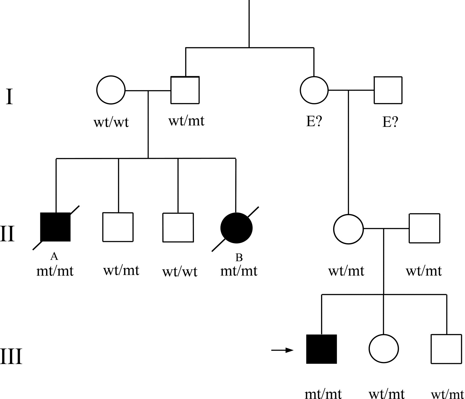 Autosomal Recessive Pedigree Genotype