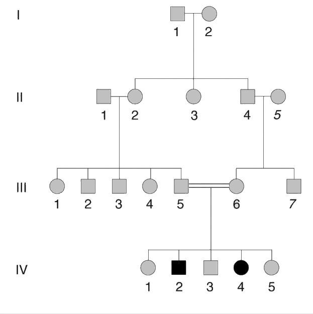 Autosomal Recessive Pedigree Genotype