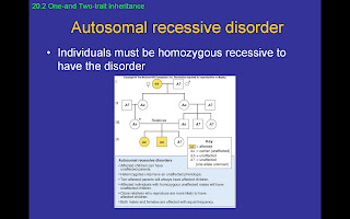 Autosomal Recessive Traits Skip Generations