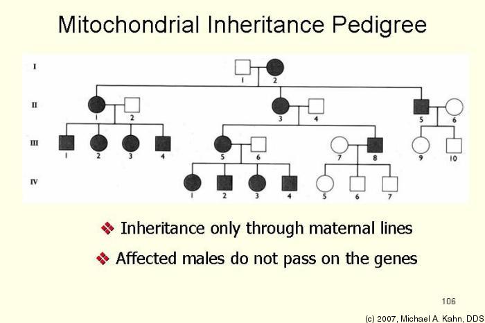 Autosomal Recessive Traits Skip Generations