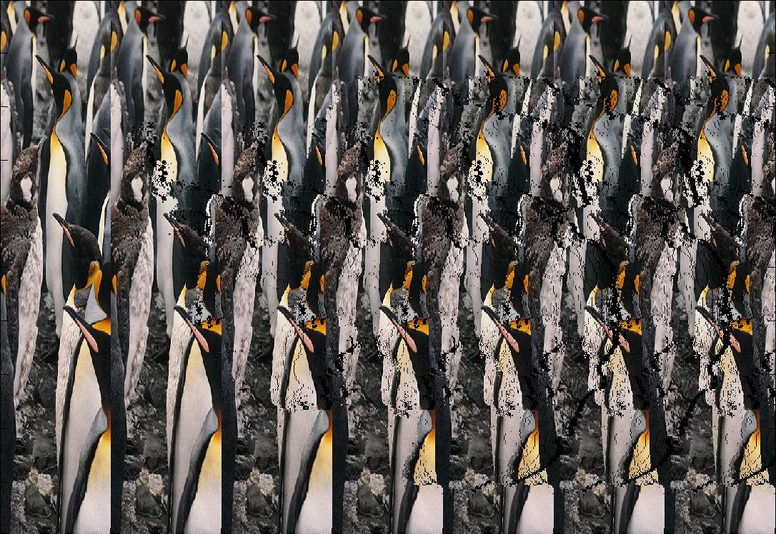 Autostereogram Pictures