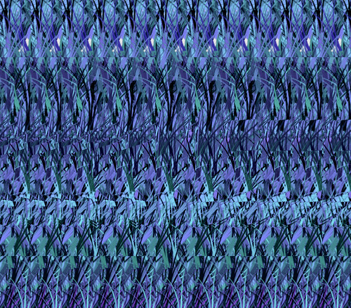 Autostereogram Software