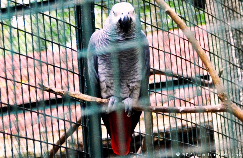 Bannerghatta National Park Bangalore Entry Fee