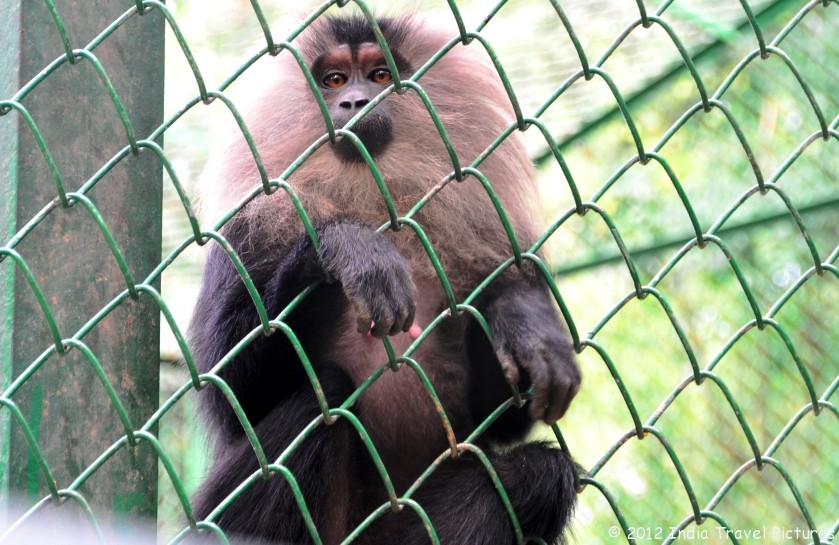 Bannerghatta National Park Bangalore Entry Fee