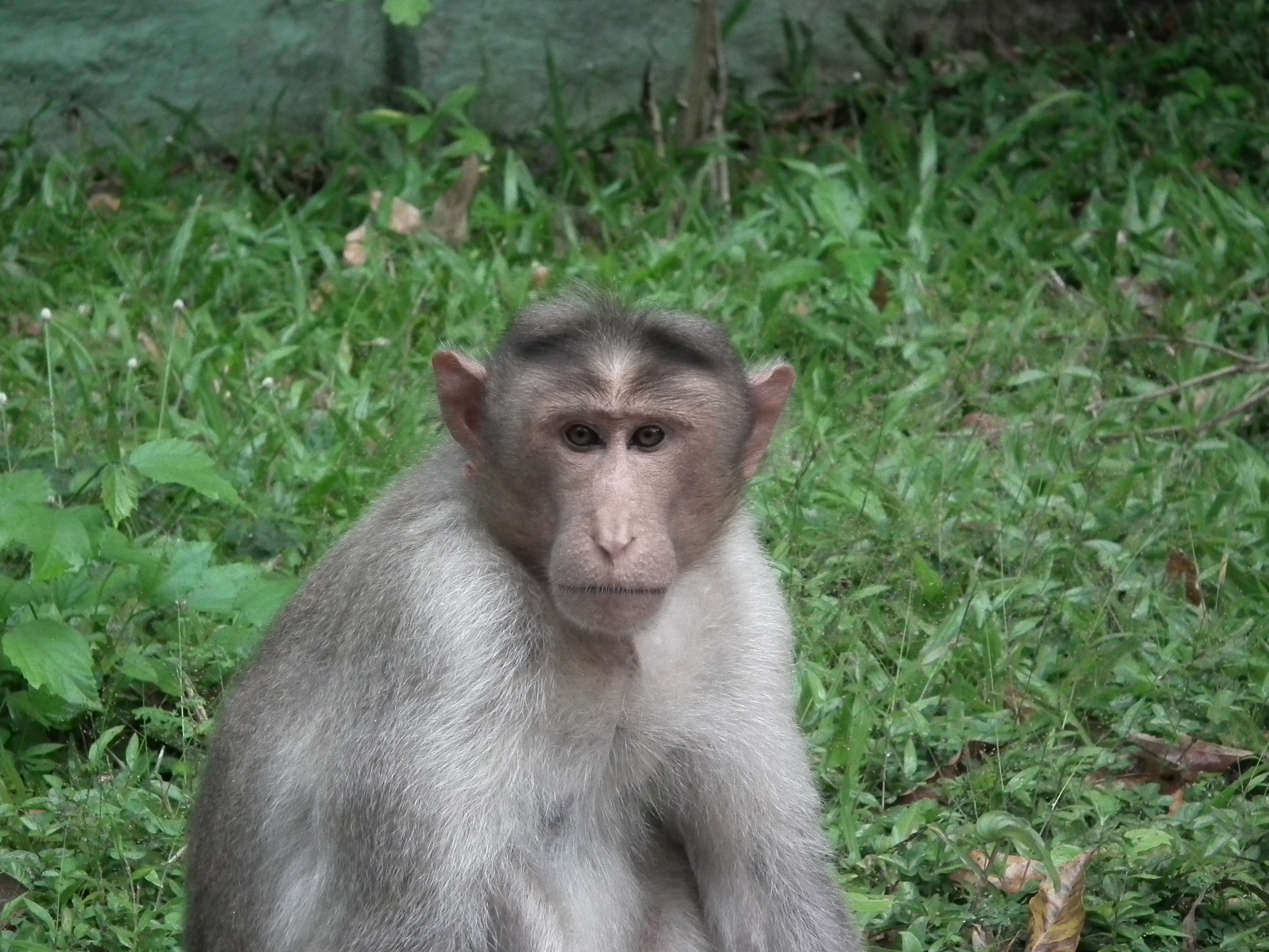 Bannerghatta National Park Timings On Saturday