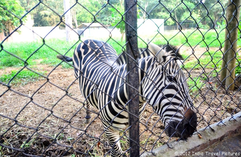 Bannerghatta National Park Timings Sunday