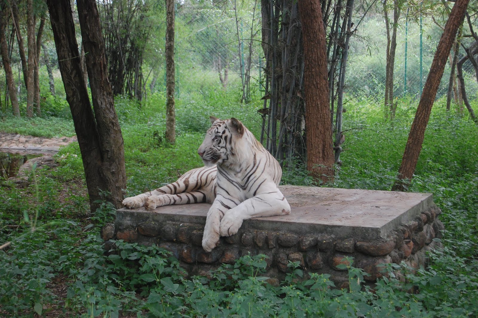 Bannerghatta National Park Timings Sunday