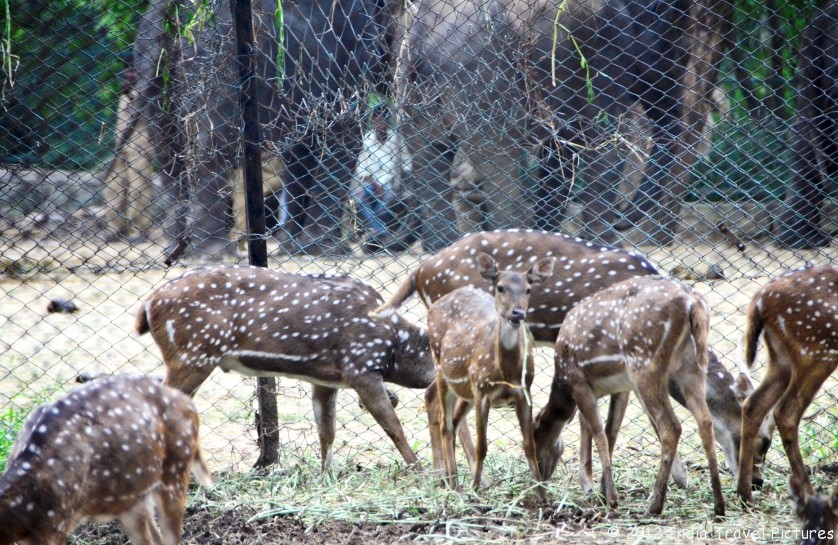 Bannerghatta National Park Timings Sunday