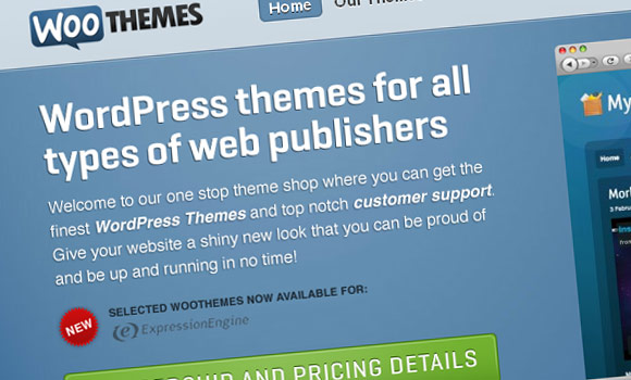 Best Free Wordpress Themes 2012 Smashing