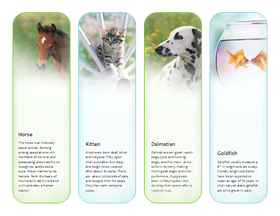 Bookmarks Templates